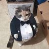 smellycat1010