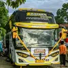 officialabttrans001