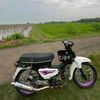 purplestely