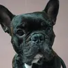 thiagorobertoborr
