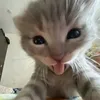 rielle_mwaa