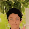 seehar72