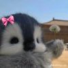 raaaaa_5912_