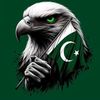 hamza.shinwari071