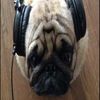 lenythechillguy2