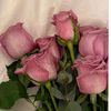 msnikki0111