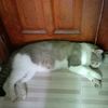 user846411430