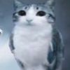 literallythecoole2
