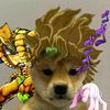 diodogbrando