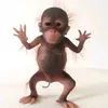 viktoupjaya