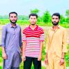 toqeerali2407