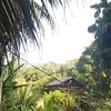 aqilla_1492012