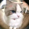jira.mark