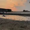 phoebehaynes35