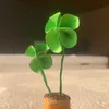 bongxinkkne