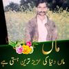 malik.ramzan2174