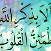 user5055384216612