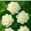user28042514993016