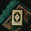 ayu.ali411