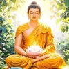 hungsuhungsu6