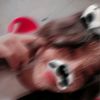soydaily_