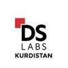 dslabs.krd