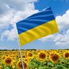 Чесні Новини