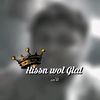 hissn546
