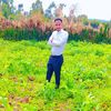 zarihun.daba45