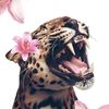 kittyluvgrwm