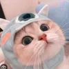 chuoichuoi24