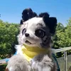 puppybiscuitka