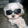 coconout_timig