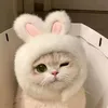 🎀💗᪲᪲᪲