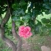 fouzia.moughal.fo3