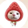 nay_05085