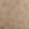 desiiqueens