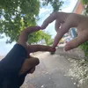 mstoica_xo