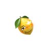 lemon58151