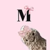 mysterious_maia