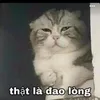 tu.huynh1393