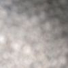 user4455441491811