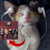 gatoworldd_