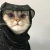 hisgutnitsv