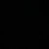 pato_4040