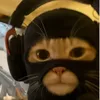 katz8044