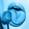 bluetongue_
