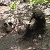 The_Real_Bog_Ghoul