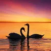 sunrise.ambience
