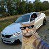 ereke_matrix
